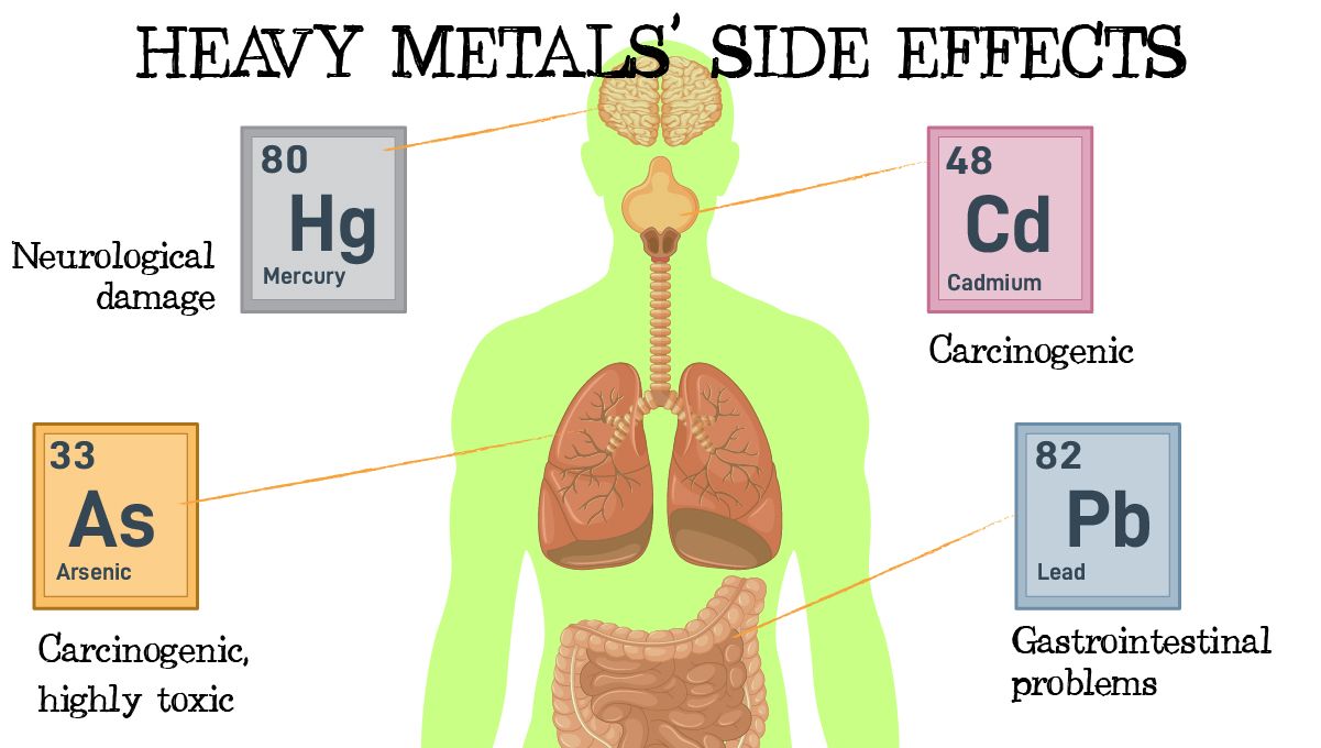 Heavy metals in cannabis: risks of consuming heavy metals Heavy metals in cannabis: risks of consuming heavy metals