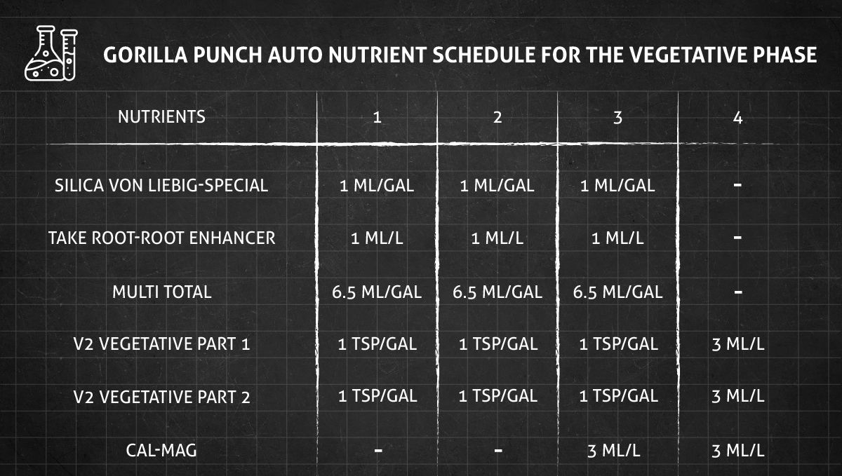Gorilla Punch Auto cannabis strain: veg nutrient schedule