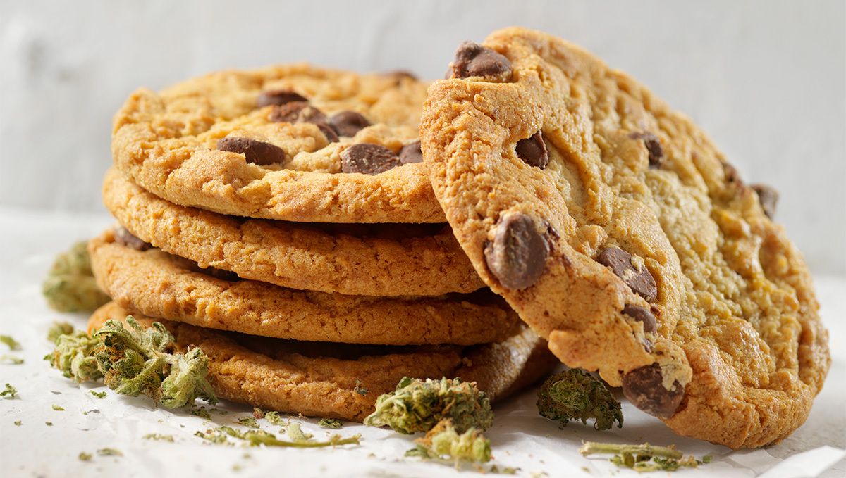 Leckere Kekse mit doppelter Schokolade!