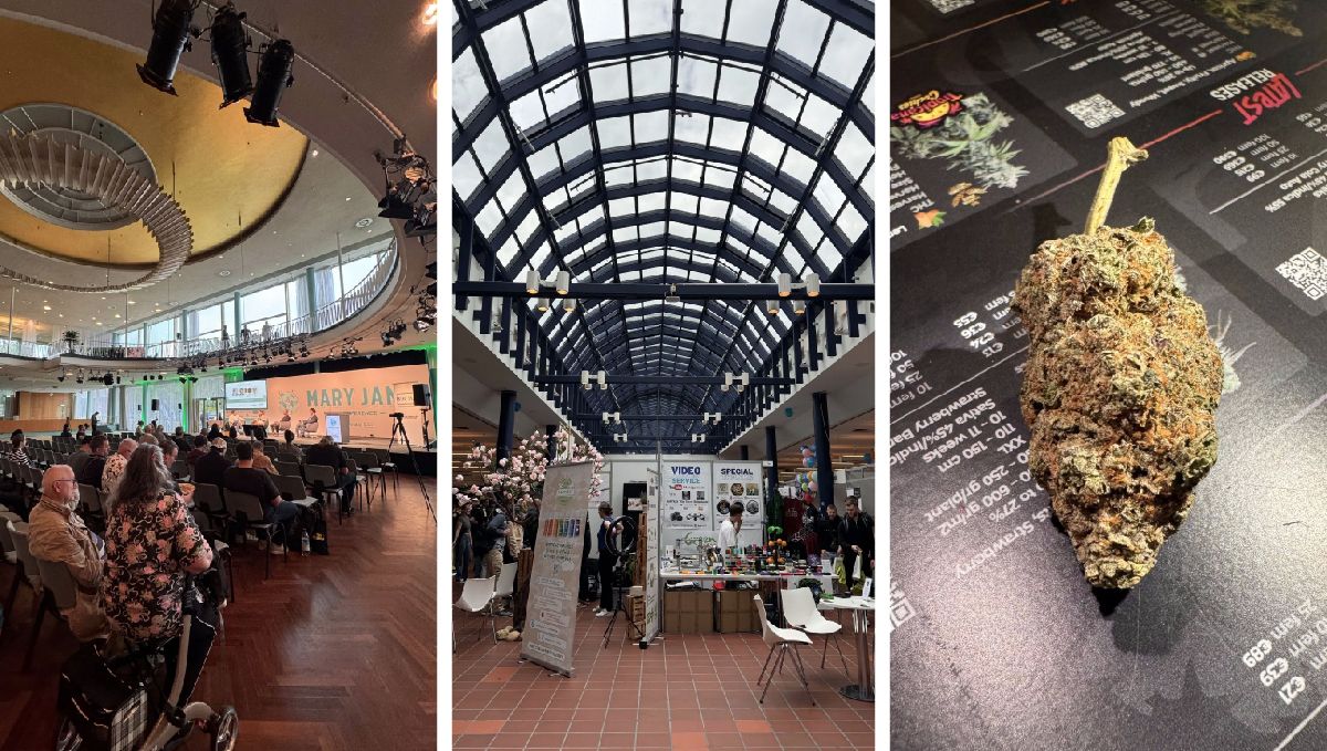 Mary Jane 2024: Die erste legale Weed-Expo in Europa