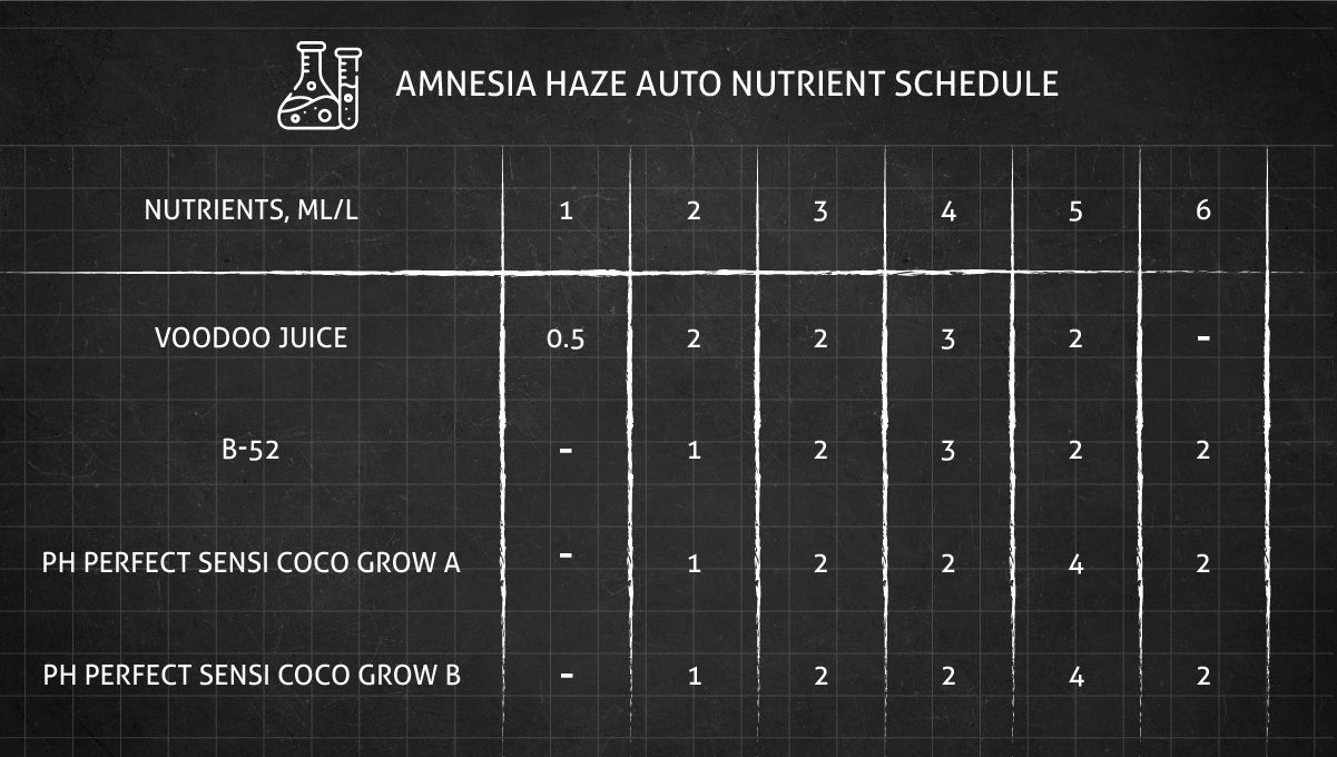 Amnesia Haze Auto cannabis strain: feeding chart for the vegetative stage