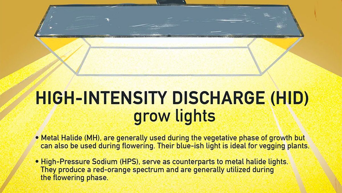 How to Grow Cannabis Indoors: a Beginners guide - 2021 (Part 1): HID grow lights