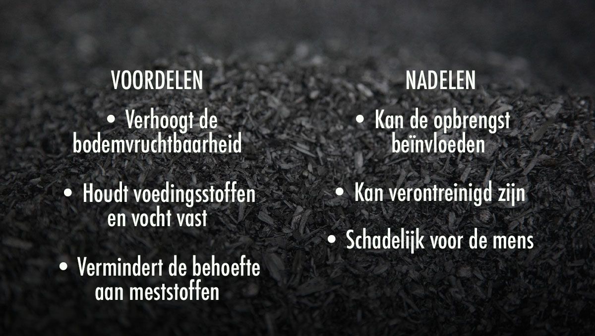 Welke grond is het beste voor zelfbloeiende cannabis?: Voor- en nadelen van het gebruik van Biochar in je grond Welke grond is het beste voor zelfbloeiende cannabis?: Voor- en nadelen van het gebruik van Biochar in je grond