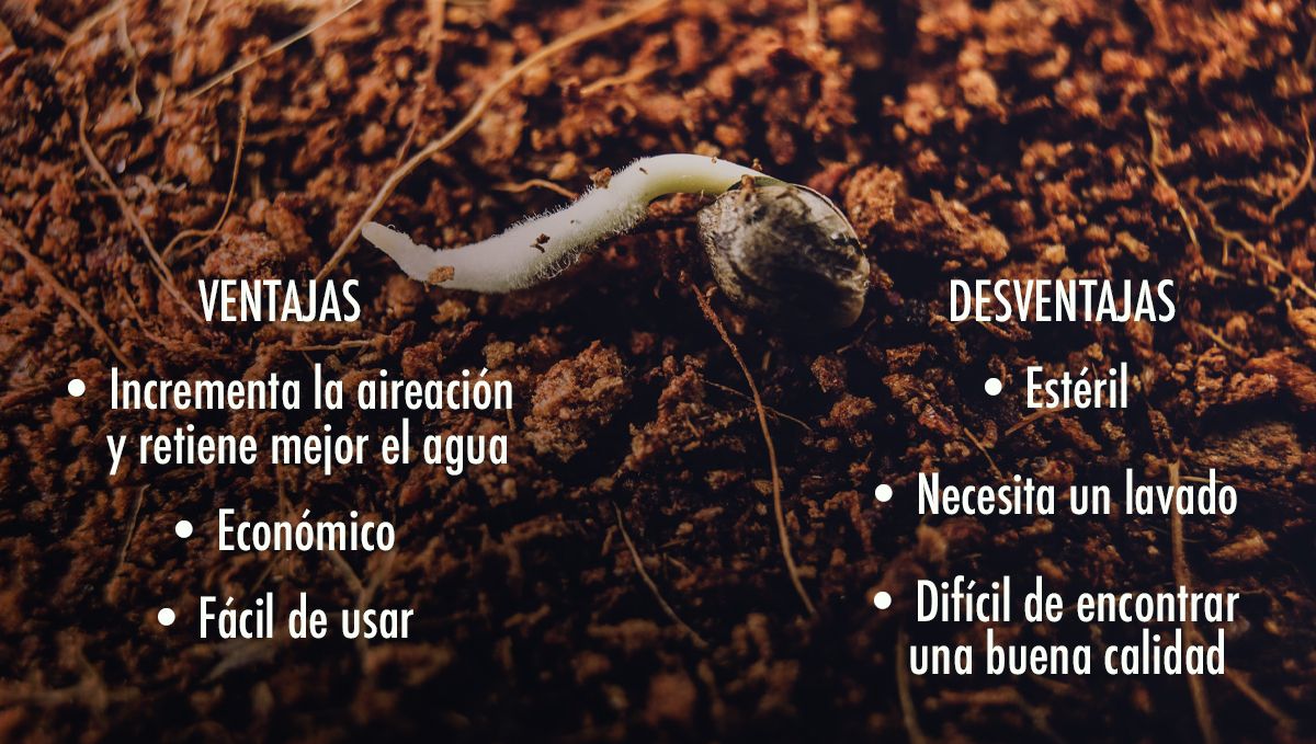 Ventajas y desventajas de añadir coco al sustrato