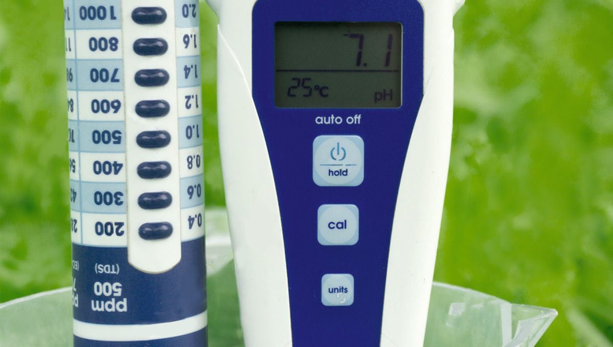 Wie man autoflowering Cannabispflanzen in Hydroponik-Systemen anbaut: pH-Werte überwachen und anpassen Wie man autoflowering Cannabispflanzen in Hydroponik-Systemen anbaut: pH-Werte überwachen und anpassen