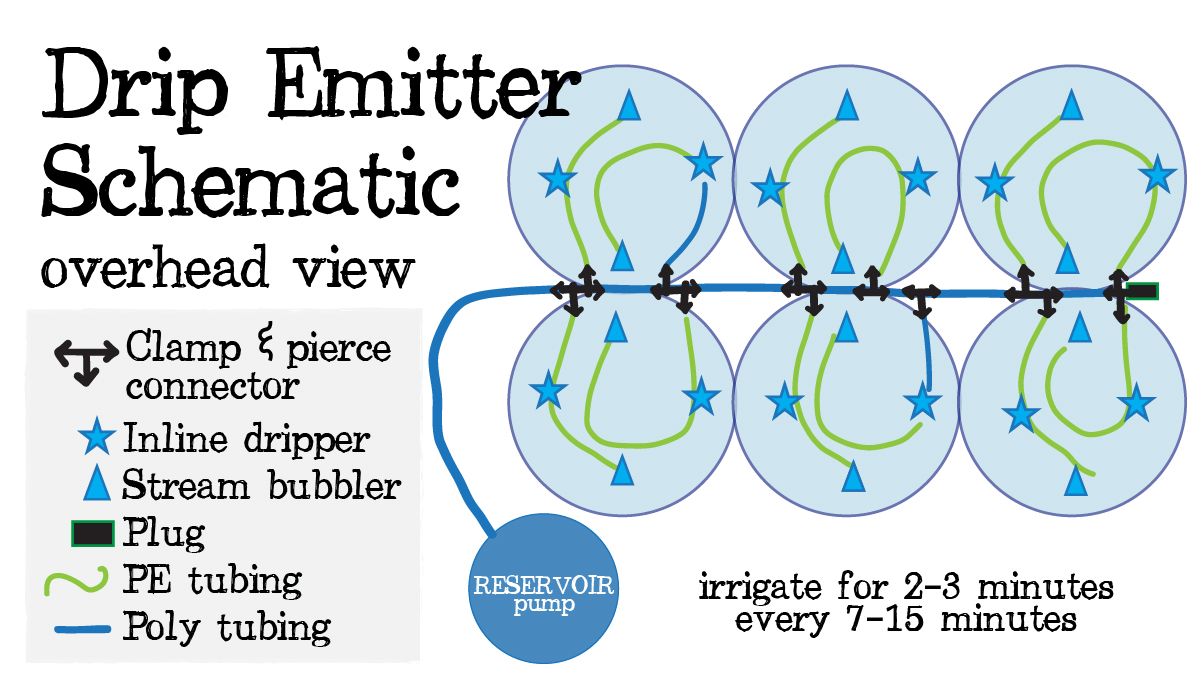 Automatic Drip Irrigation Setup for Indoor Cannabis Grow: Drip emmiter infographic Automatic Drip Irrigation Setup for Indoor Cannabis Grow: Drip emmiter infographic