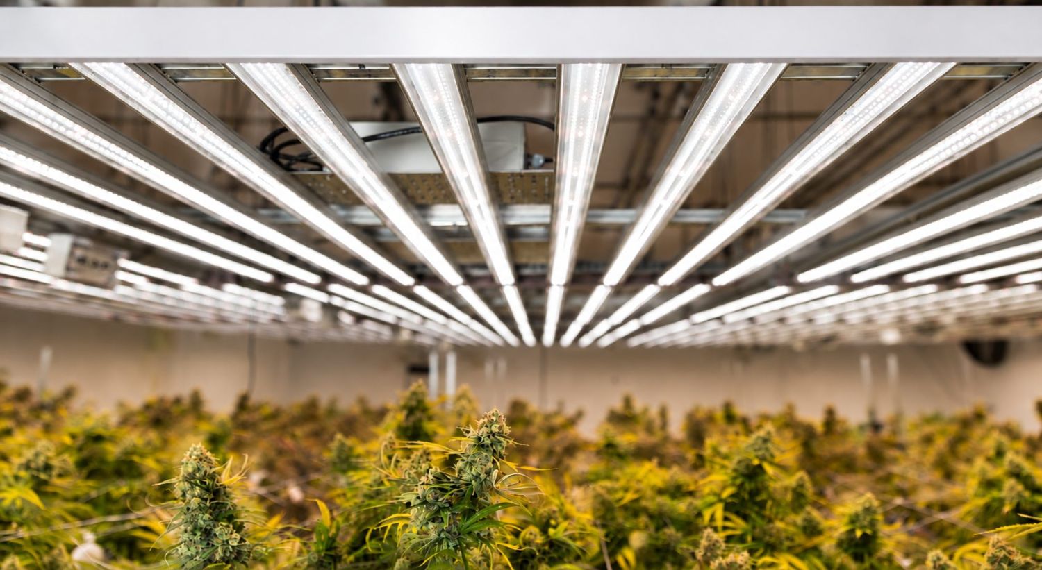LED Panels LED Panels