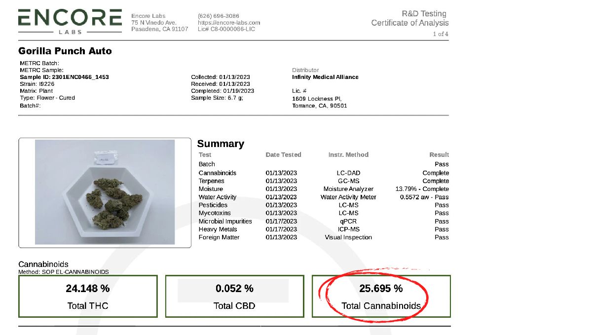 Labortest von Gorilla Punch Auto Labortest von Gorilla Punch Auto