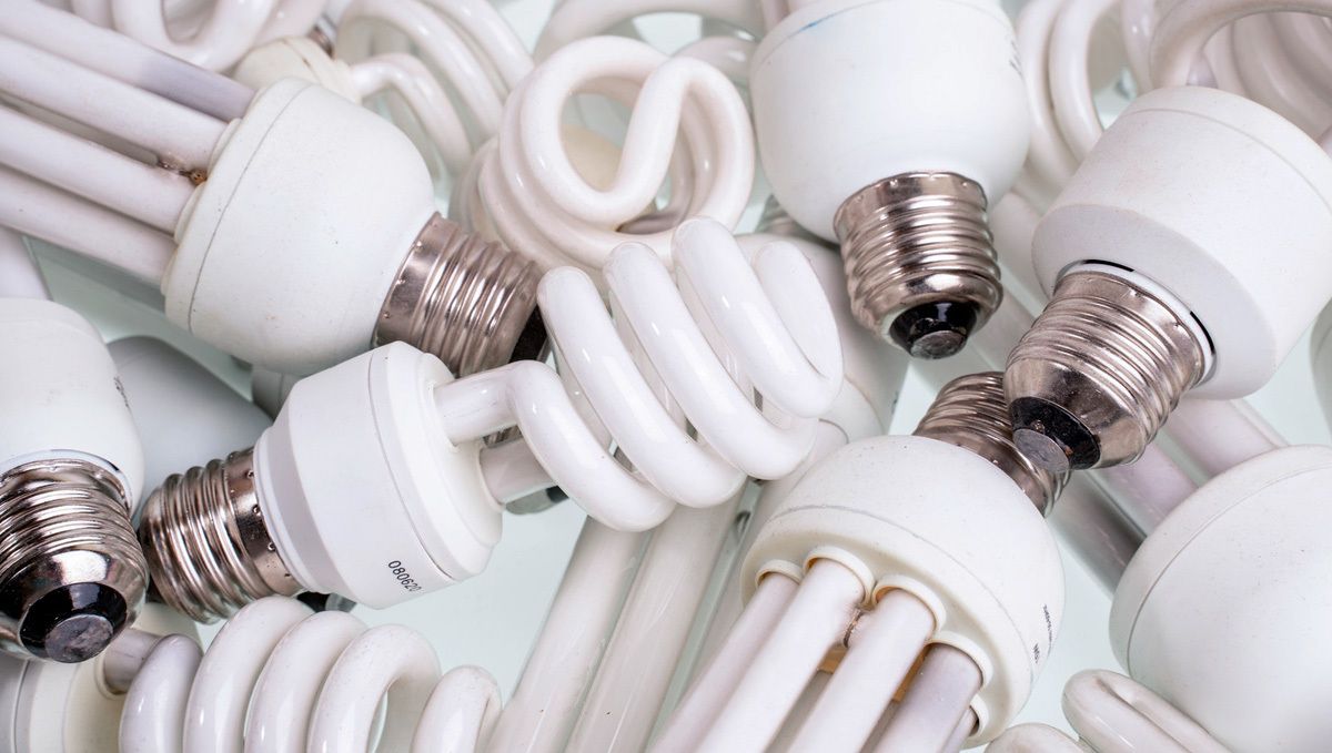 How to grow autoflower cannabis indoors: CFLs