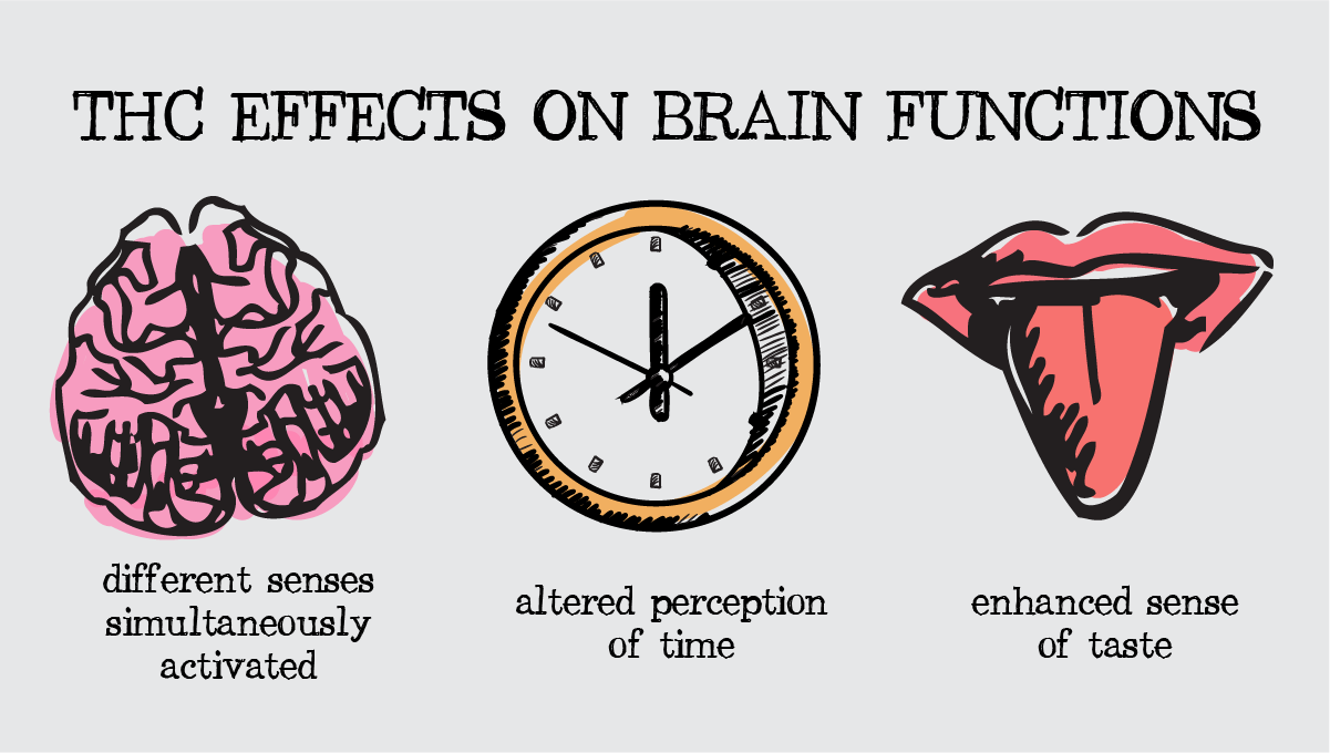 Thc effects on the central nervous system: the effects of cannabinoids on cns functions