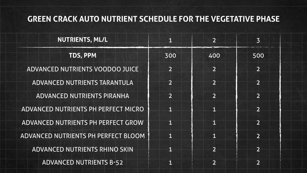 Green Crack Auto cannabis strain: veg nutrient schedule