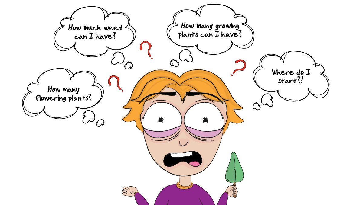 How to grow weed at home: legal politics