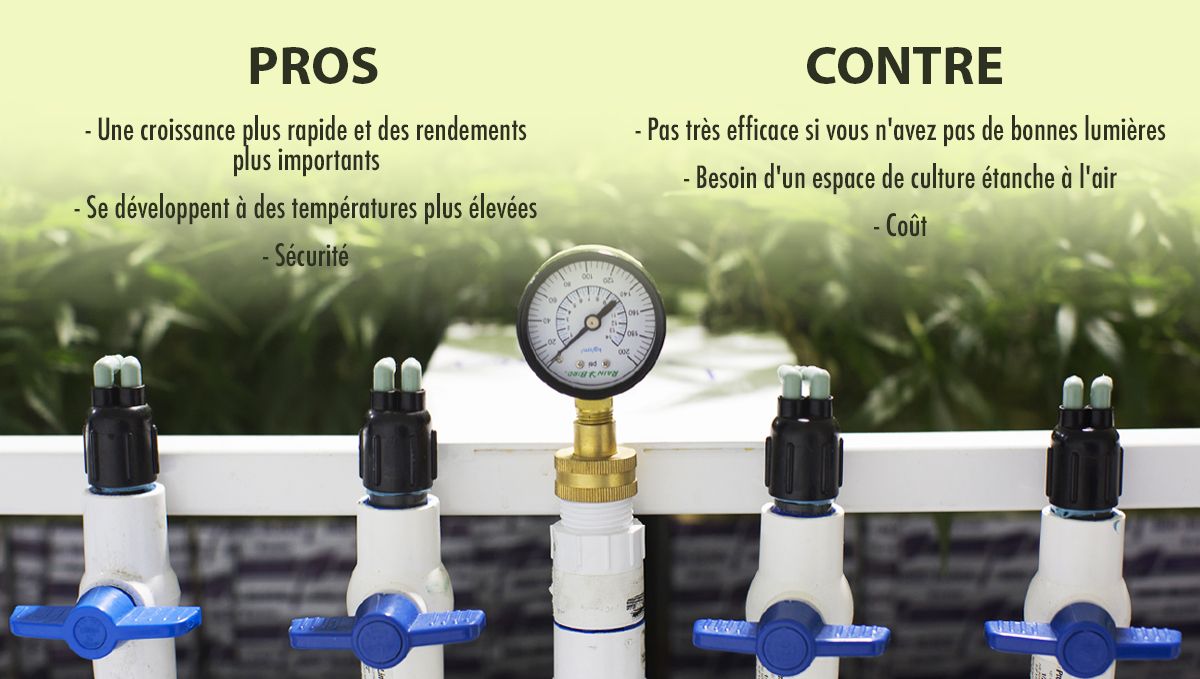 pros_cons_fr.jpg Augmenter le rendement du cannabis avec du CO2: avantages et inconvénients