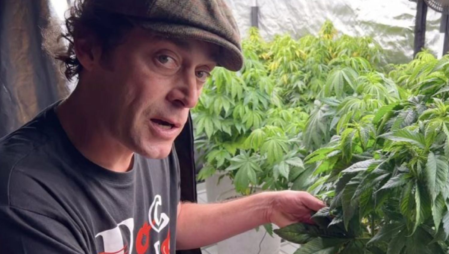 Sasha in his growroom. Sasha in his growroom.