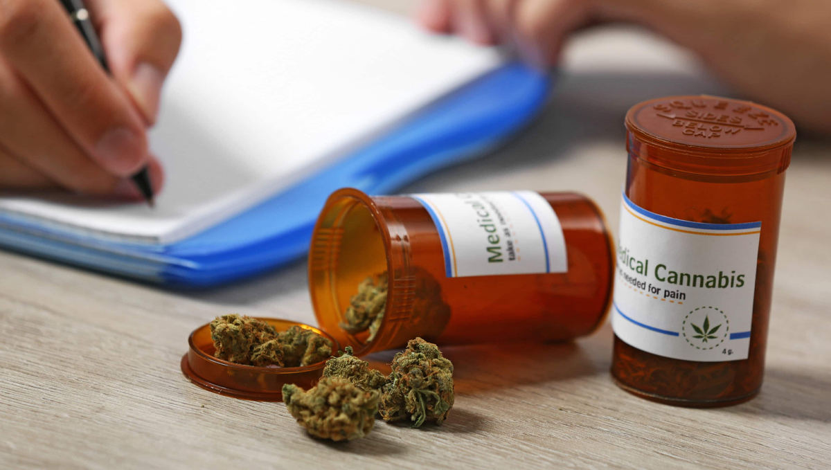 Ireland’s Medical Cannabis Access Program Sabotaged by Doctors: Dried flowers of medical cannabis prescribed for pain