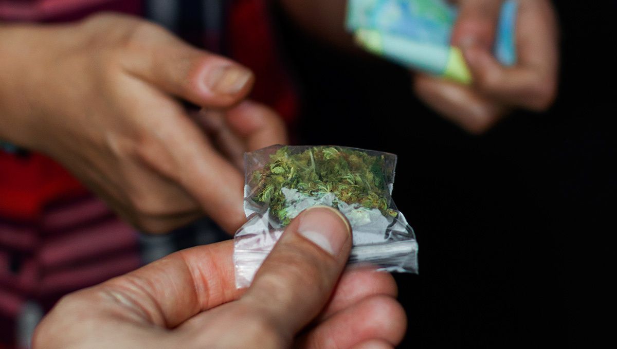 How Much is a Half Ounce of Weed? The Complete Weed Price Breakdown: A closeup of two person's hands as they exchange money and a ziplock bag with about a gram of cannabis