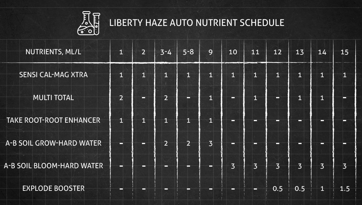 Liberty Haze cannabis strain: feeding chart for the vegetative and flowering stages
