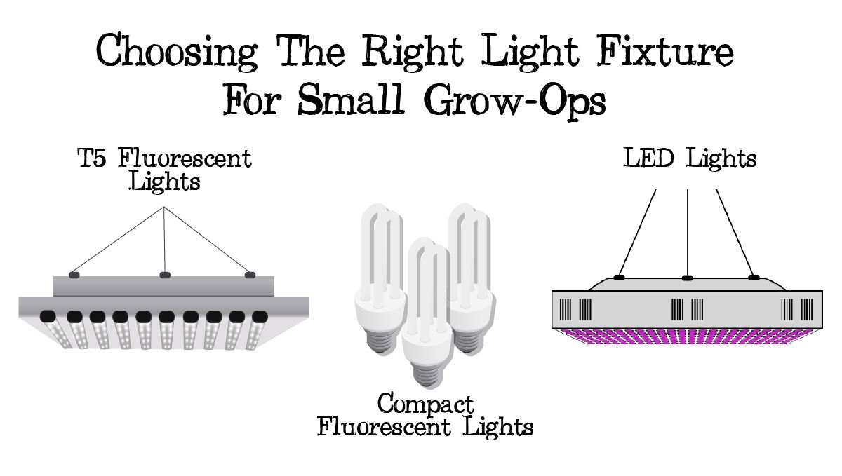 Grow small cannabis plants in tiny spaces: the correct light fixture