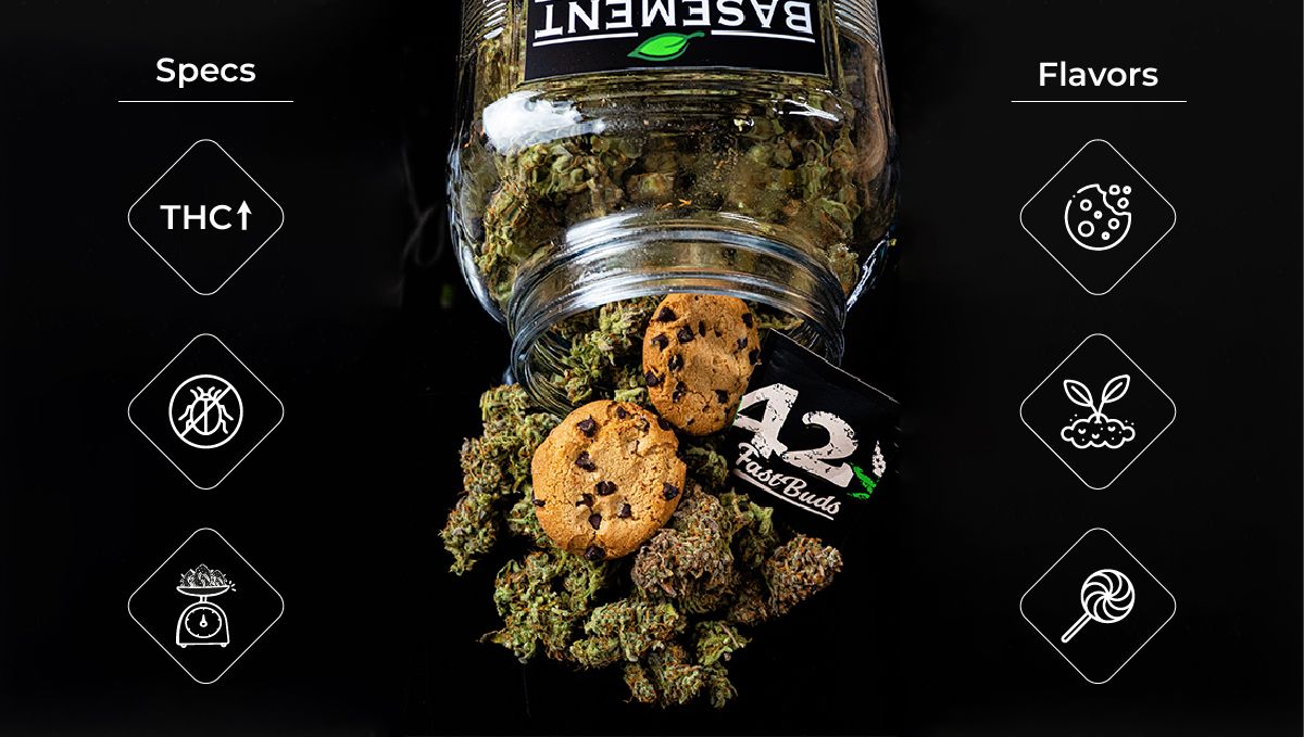 Why autos are the best choice for american home growers: why grow your own? Why autos are the best choice for american home growers: why grow your own?