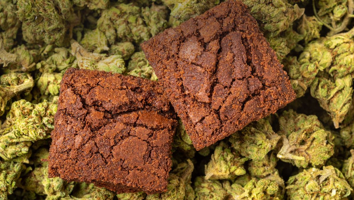 The Most Ridiculously Sized Pot Brownie Ever Baked