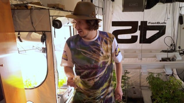 Das Geheimnis für Next-Level Dry Sift Hash | So machst du dein eigenes Fast Buds Kief