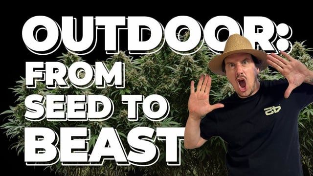 Outdoor Grow Tips