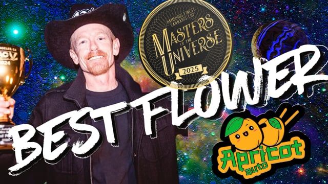 They Laughed at Autoflowers… Then Chubbs Took 1st with Apricot Auto