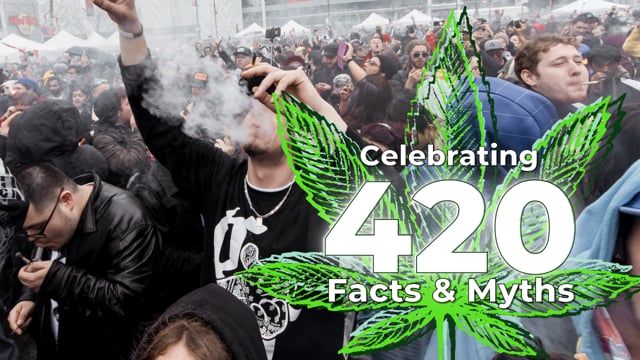 Celebrating 420 - Facts & Myths about National Weed Day