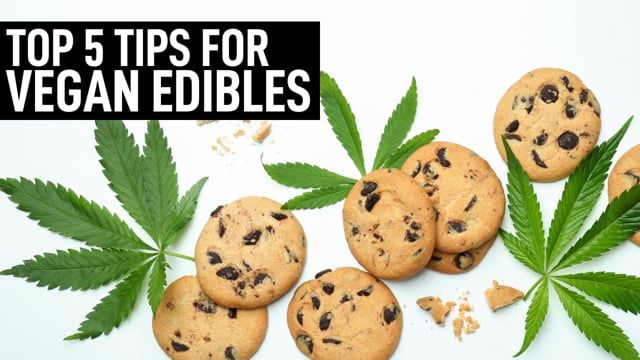 Top 5 Tips for Vegan Edibles | How to cook with Cannabis