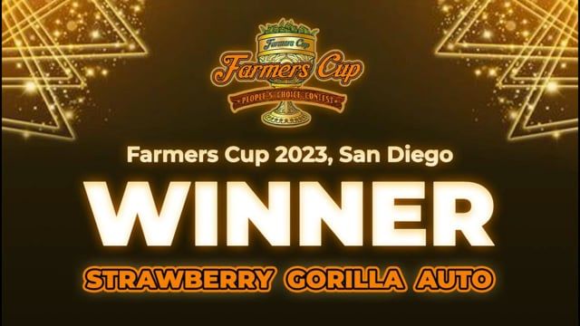 Farmers Cup WINNER | Strawberry Gorilla | Fast Buds Talks with Good_Buddy_Flowers