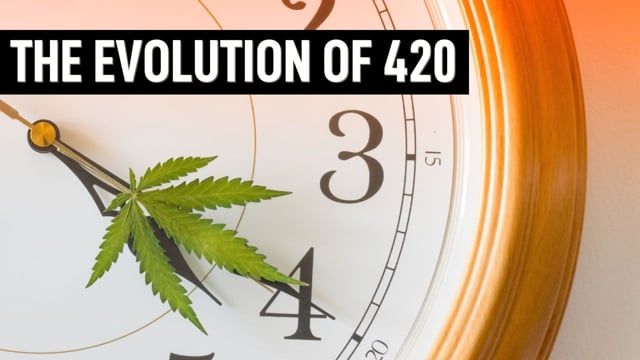 The Evolution of 420