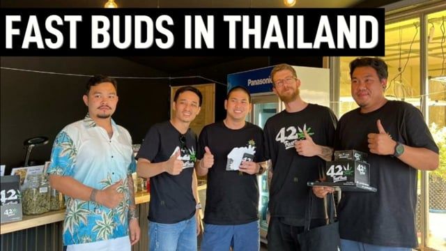 Fast Buds in Thailand