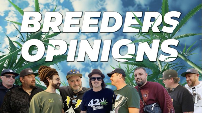 Breeders Opinions