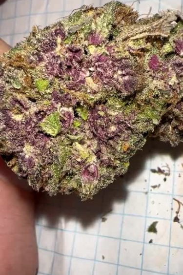 Strawberry Gorilla Auto