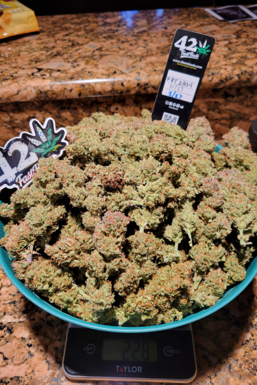 Instagram Pound Cake Auto