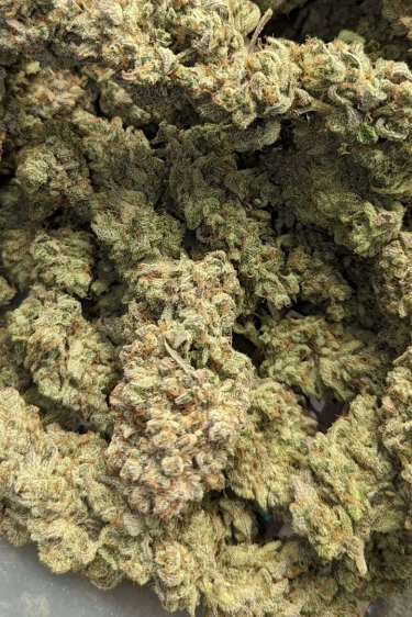 Instagram Chemdawg Auto