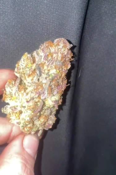 Gorilla Cookies Auto