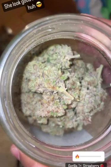 Strawberry Gorilla Auto