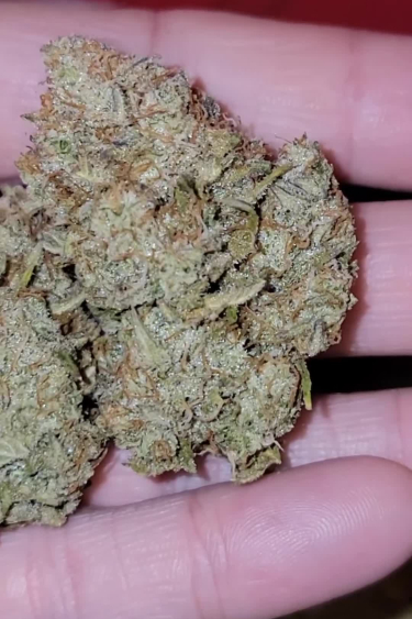 Sour Jealousy Auto™