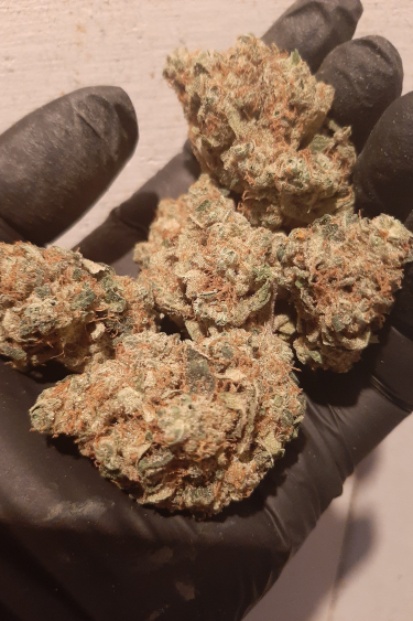 Instagram Lemon Mandarin