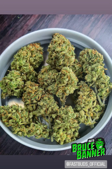 Instagram Bruce Banner Auto