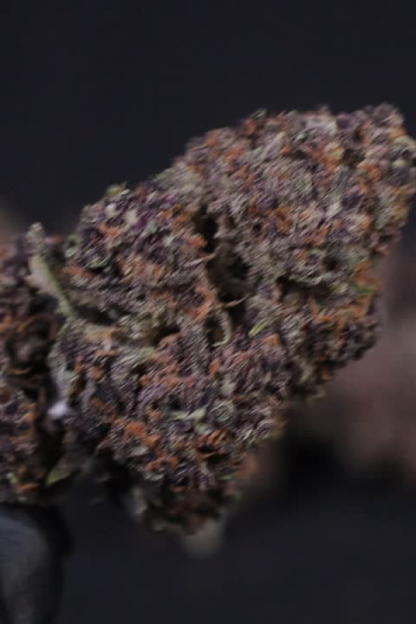Instagram Banana Purple Punch Auto RF3