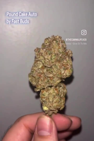 Instagram Pound Cake Auto