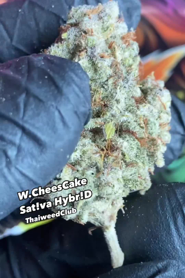 Wedding Cheesecake Auto