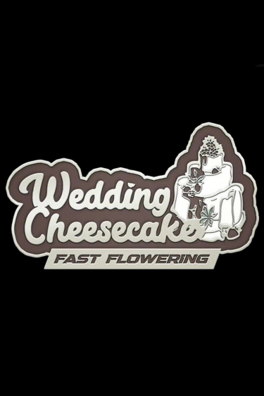 Wedding Cheesecake FF