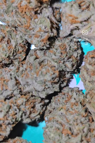 Instagram Pound Cake Auto