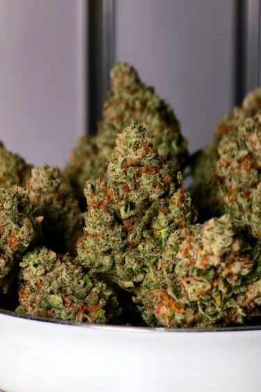 Instagram Frostbanger Auto