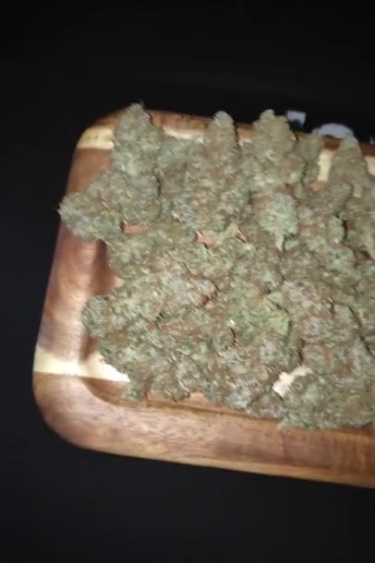 Gorilla Cookies Auto