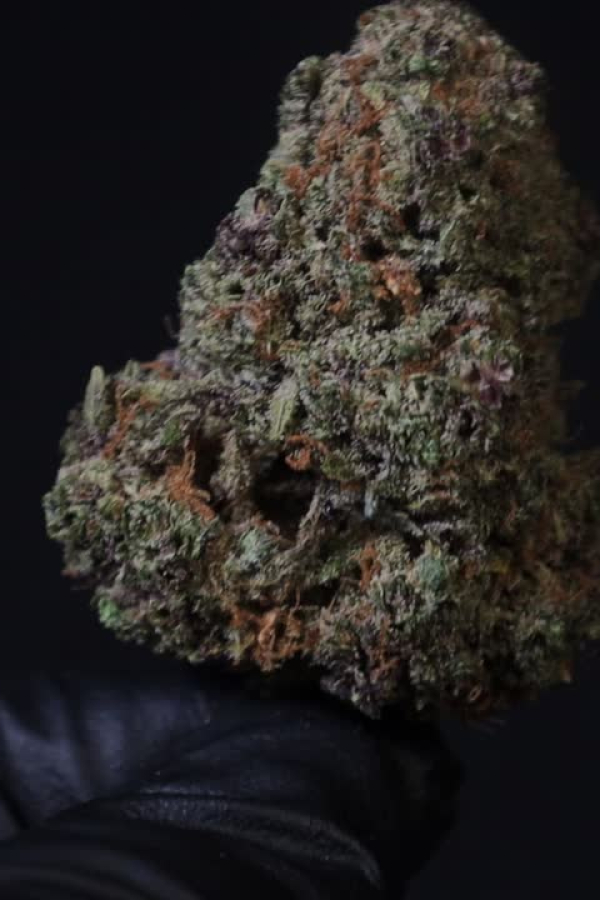 Instagram Cherry Cola Auto RF3