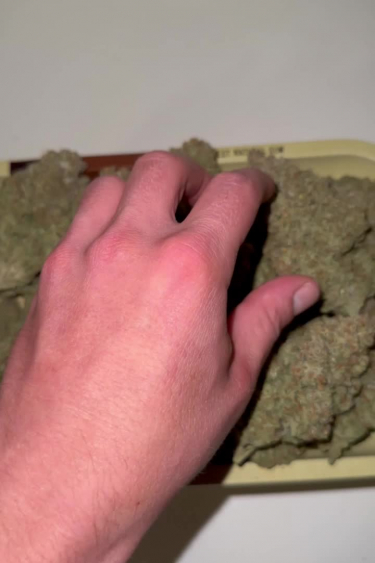 Instagram Strawberry Gorilla Auto